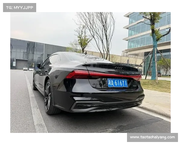 上汽奥迪A7L油漆详解 上汽奥迪A7L油漆详解