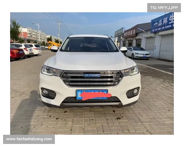 专注所以进步 试驾全新哈弗H6 2.0T 蓝标版 专注所以进步 试驾全新哈弗H6 2.0T 蓝标版