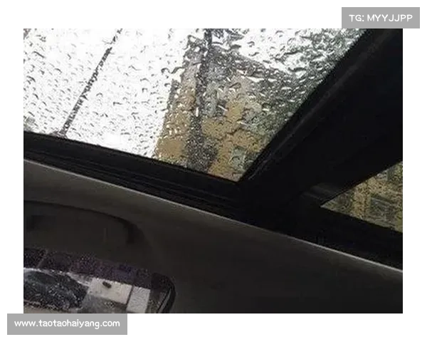 主驾下方漏水怎样排除?驾驶室左脚上方漏水怎么办 主驾下方漏水怎样排除?驾驶室左脚上方漏水怎么办