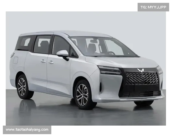 五菱再造神车 家用全新MPV星光730公开:带侧滑门、三种动力 五菱再造神车 家用全新MPV星光730公开:带侧滑门、三种动力